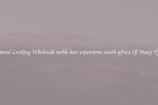 Natural Looking Wholesale noble hair extensions south africa Of Many Types