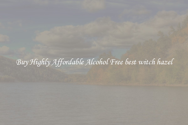 Buy Highly Affordable Alcohol Free best witch hazel