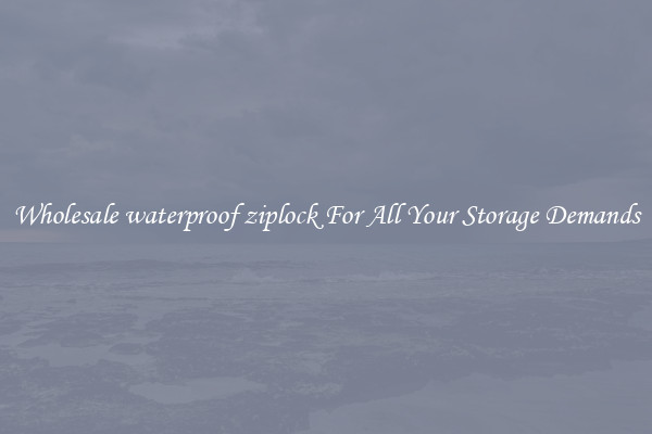 Wholesale waterproof ziplock For All Your Storage Demands