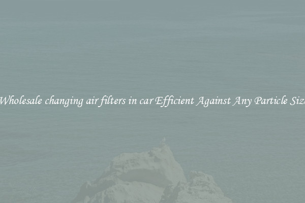 Wholesale changing air filters in car Efficient Against Any Particle Size