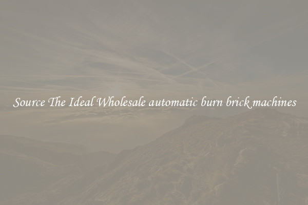 Source The Ideal Wholesale automatic burn brick machines