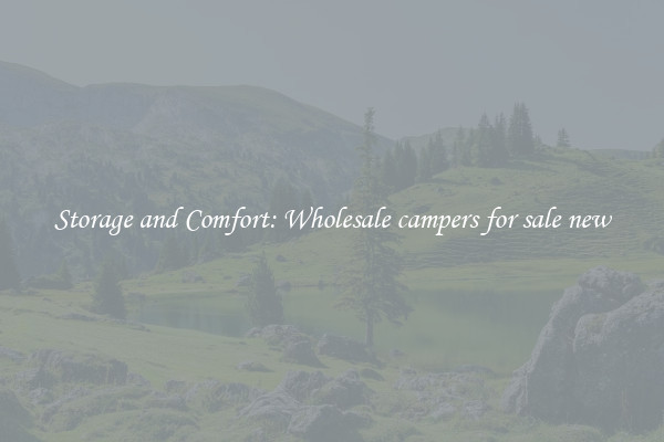 Storage and Comfort: Wholesale campers for sale new