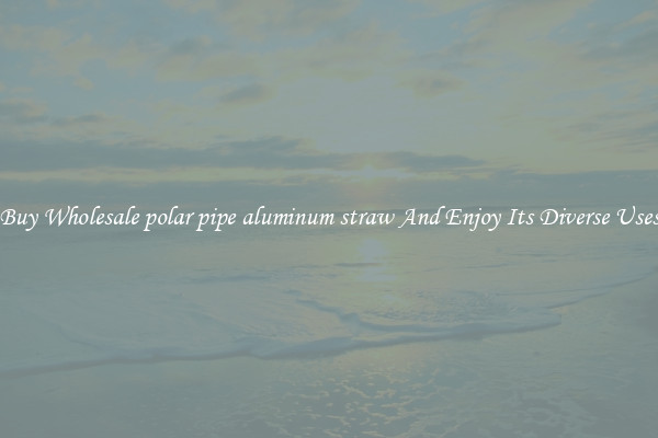 Buy Wholesale polar pipe aluminum straw And Enjoy Its Diverse Uses