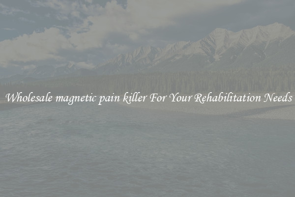 Wholesale magnetic pain killer For Your Rehabilitation Needs