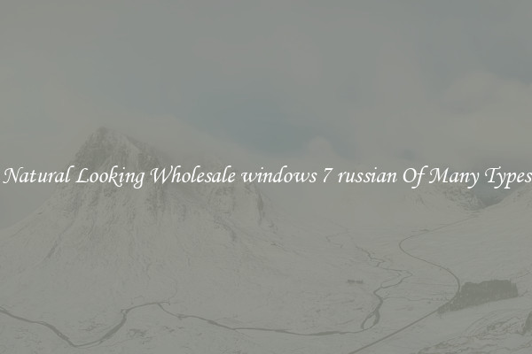 Natural Looking Wholesale windows 7 russian Of Many Types