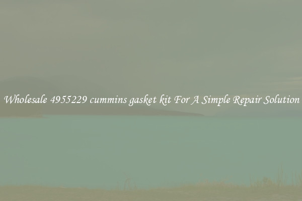 Wholesale 4955229 cummins gasket kit For A Simple Repair Solution