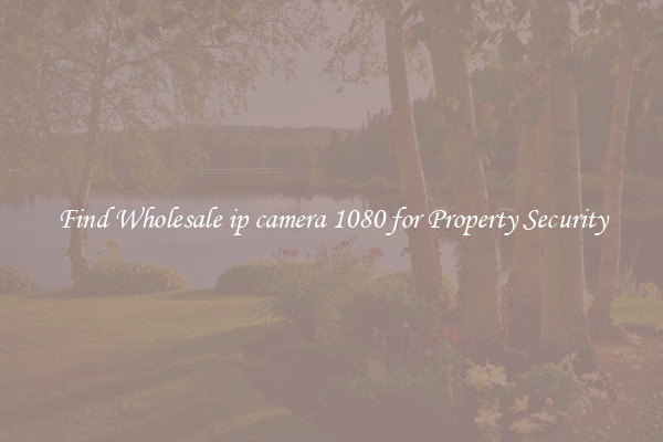 Find Wholesale ip camera 1080 for Property Security