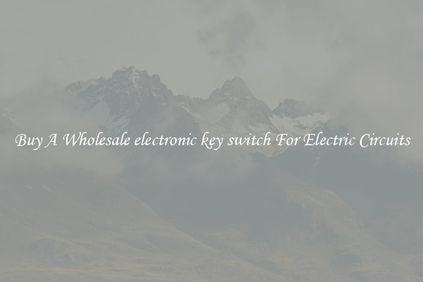 Buy A Wholesale electronic key switch For Electric Circuits