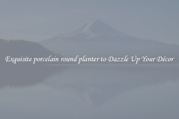 Exquisite porcelain round planter to Dazzle Up Your Décor 