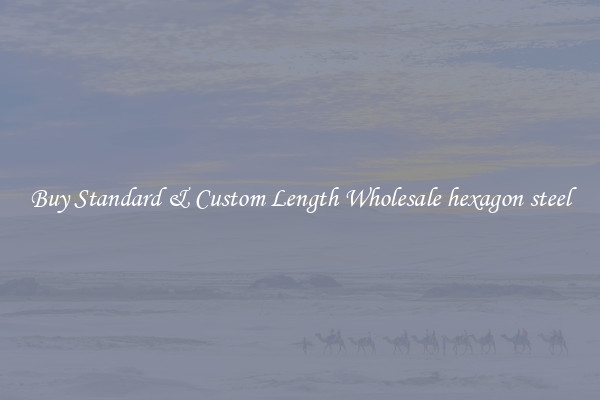 Buy Standard & Custom Length Wholesale hexagon steel