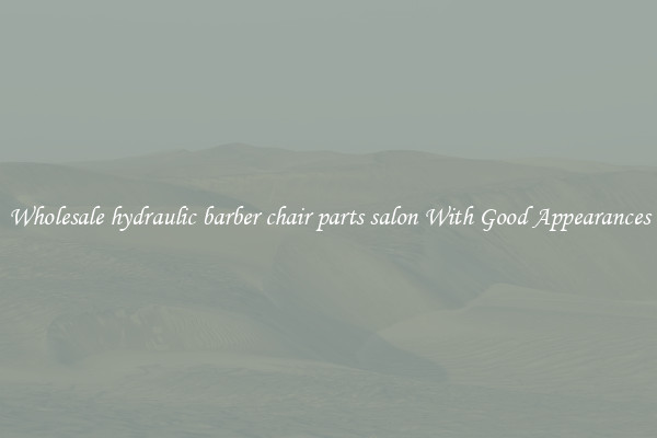 Wholesale hydraulic barber chair parts salon With Good Appearances
