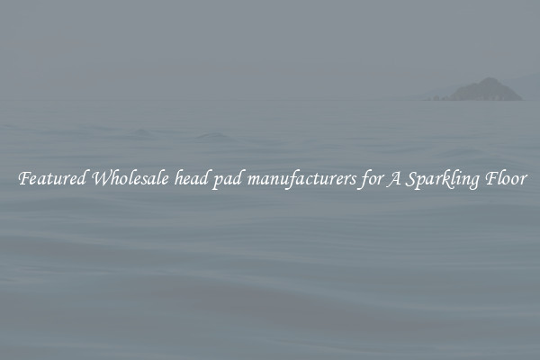 Featured Wholesale head pad manufacturers for A Sparkling Floor