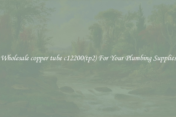 Wholesale copper tube c12200(tp2) For Your Plumbing Supplies