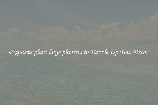 Exquisite plant large planters to Dazzle Up Your Décor 