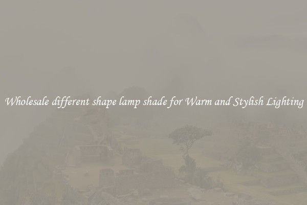 Wholesale different shape lamp shade for Warm and Stylish Lighting