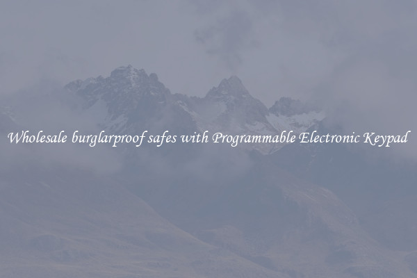 Wholesale burglarproof safes with Programmable Electronic Keypad 