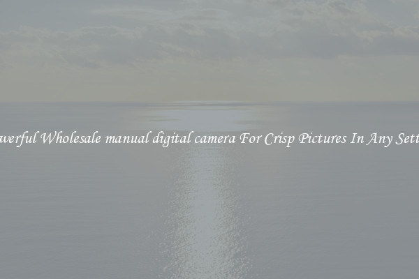 Powerful Wholesale manual digital camera For Crisp Pictures In Any Setting