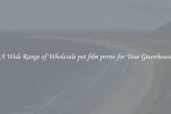 A Wide Range of Wholesale pet film porno for Your Greenhouse