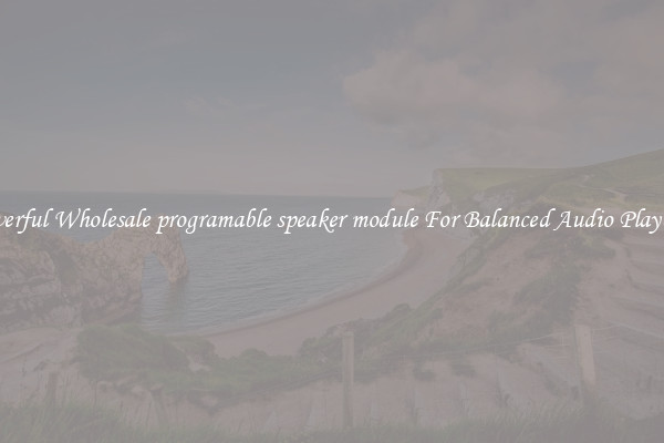 Powerful Wholesale programable speaker module For Balanced Audio Playback