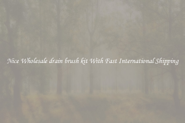 Nice Wholesale drain brush kit With Fast International Shipping