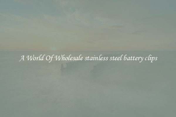 A World Of Wholesale stainless steel battery clips