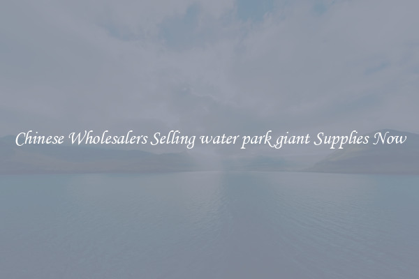 Chinese Wholesalers Selling water park giant Supplies Now
