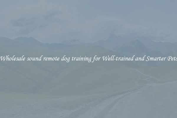 Wholesale sound remote dog training for Well-trained and Smarter Pets