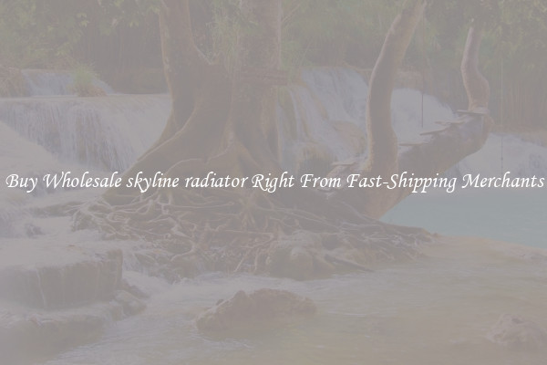 Buy Wholesale skyline radiator Right From Fast-Shipping Merchants