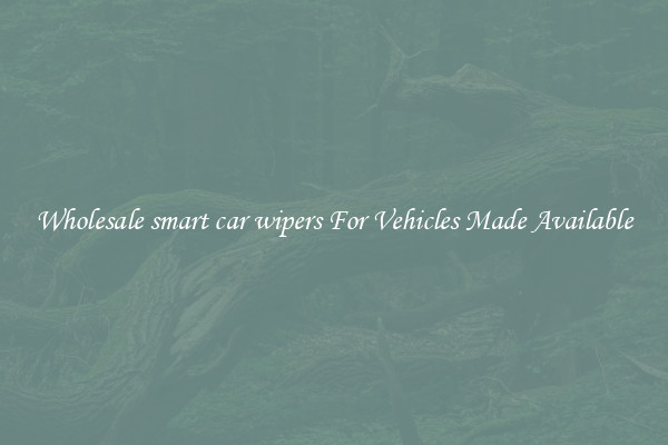 Wholesale smart car wipers For Vehicles Made Available