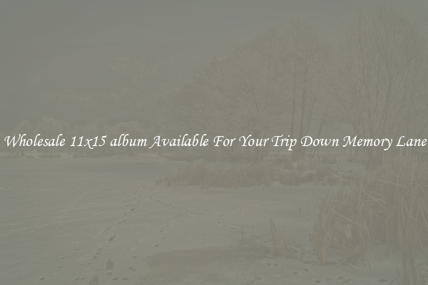 Wholesale 11x15 album Available For Your Trip Down Memory Lane