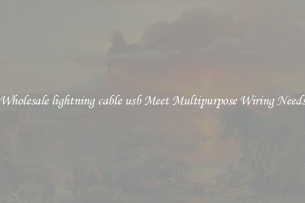 Wholesale lightning cable usb Meet Multipurpose Wiring Needs